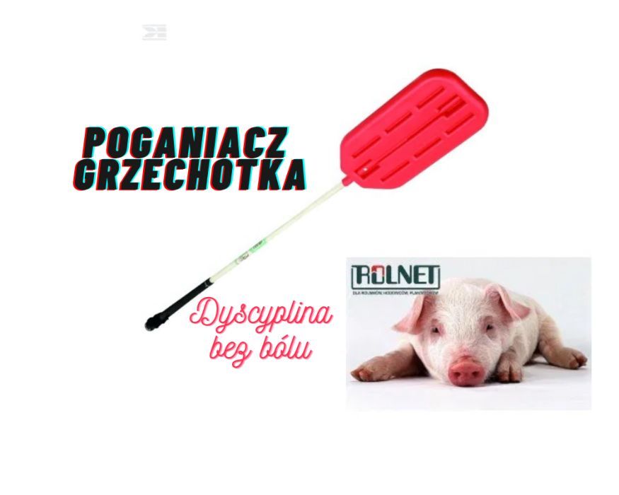 Poganiacz typu grzechotka dla świń