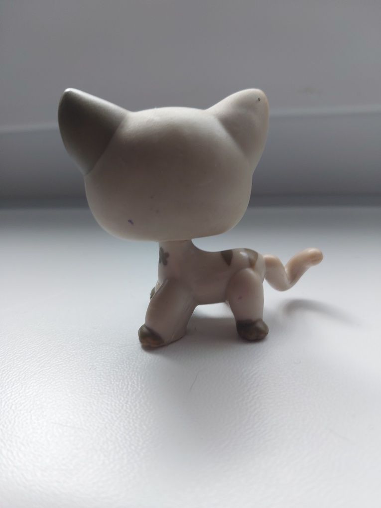 Lps kotek shorthair