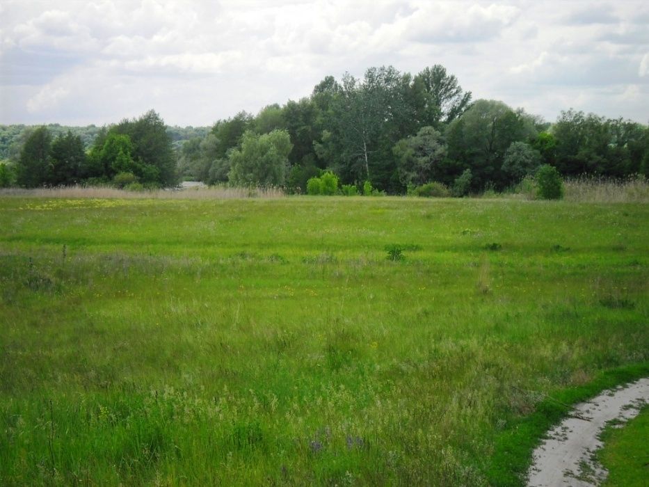 Продам будинок біля річки