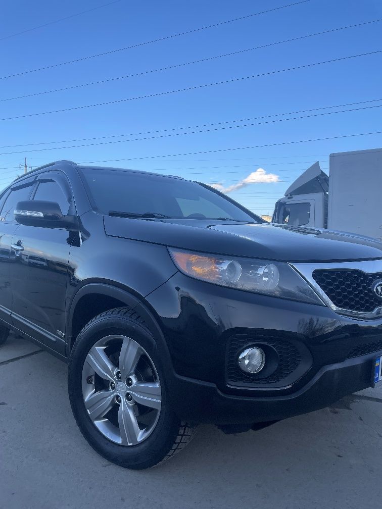 Kia sorento  2012