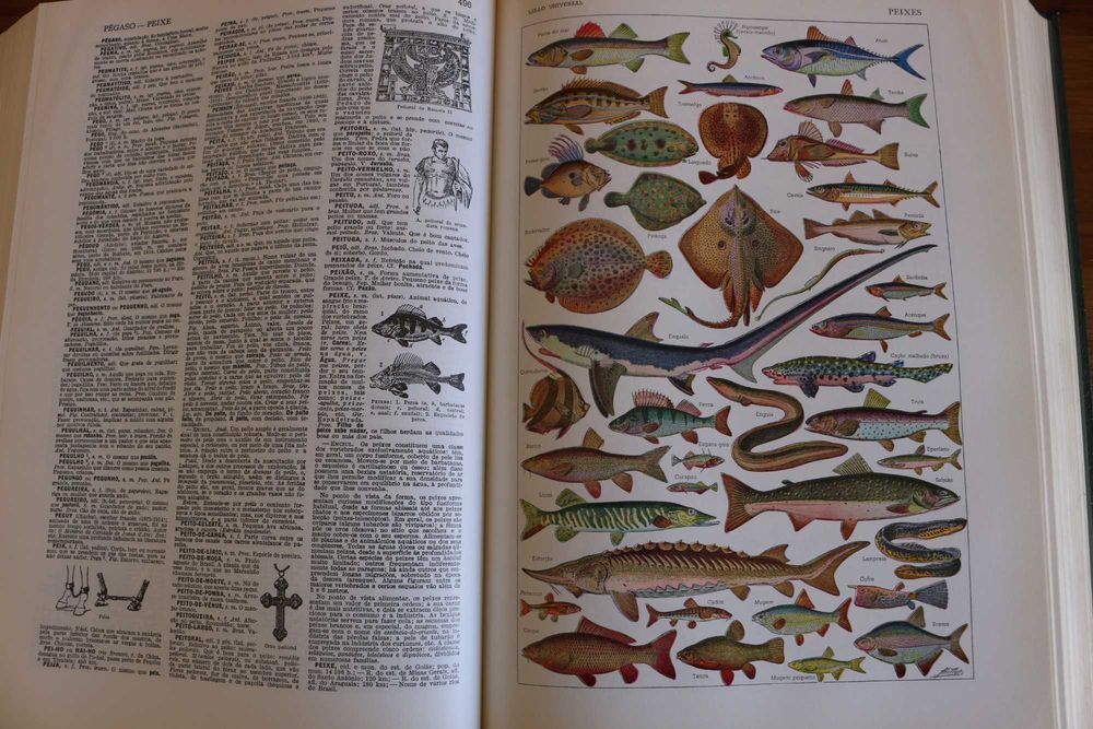 Dicionário ilustrado Lello Universal 2 volumes