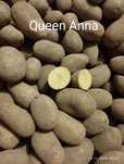 Ziemniaki żółte Queen Anna