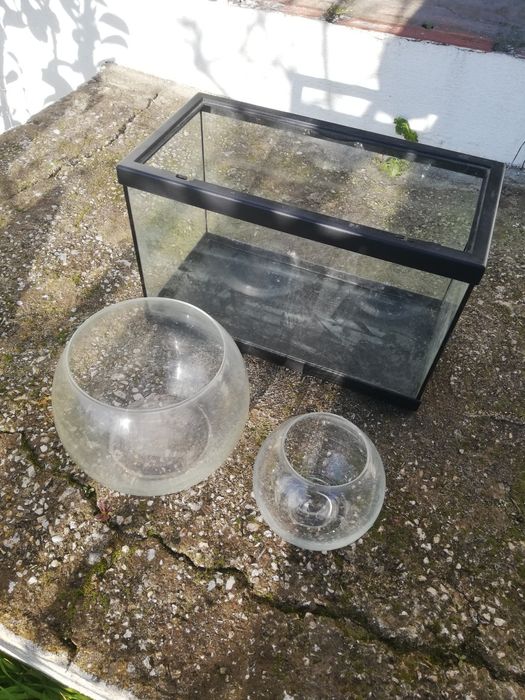 Aquários para peixes.