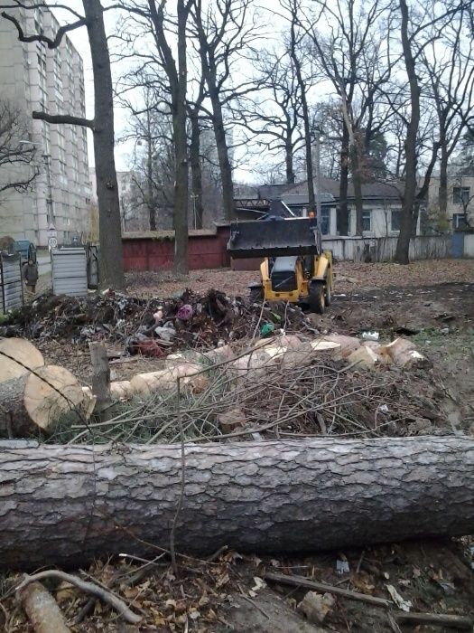 Розчищення вирівнювання ділянки, Зрізання дерев Прибирання Демонтаж