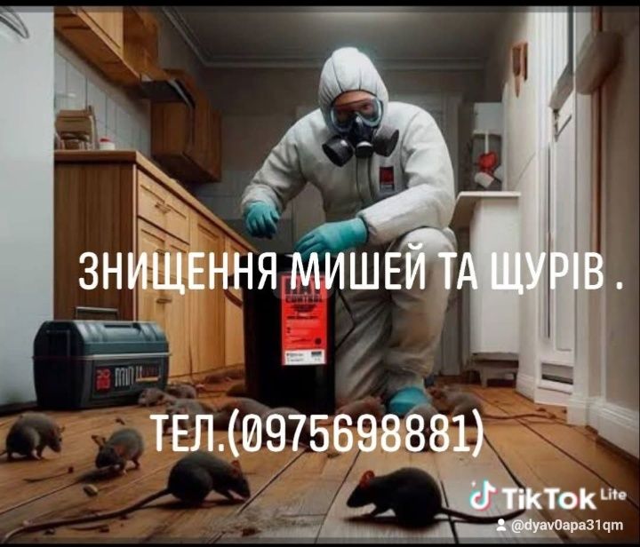 Дезінфекція та дезінсекція приміщення від тарганів бліх клапів.