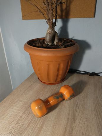 Hanteluk Pomarańczowy 1.5 kg