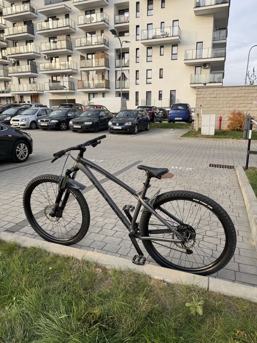 Dartmoor Primal Intro 2024 L 29 Trail/Enduro hardtail