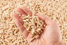 Pellet EN Plus 1 A1 SZYBKA dostawa autem z windą #superCeny #