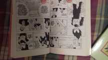 Livros Banda desenhada DBZ.