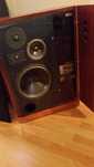 Tandberg Studio Monitor TLM 3005 Jedye W Europie