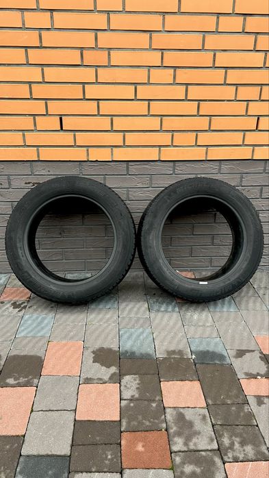 Зимові Шини 225/55/R17