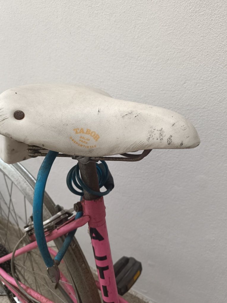 Bicicleta vintage (novo preço)