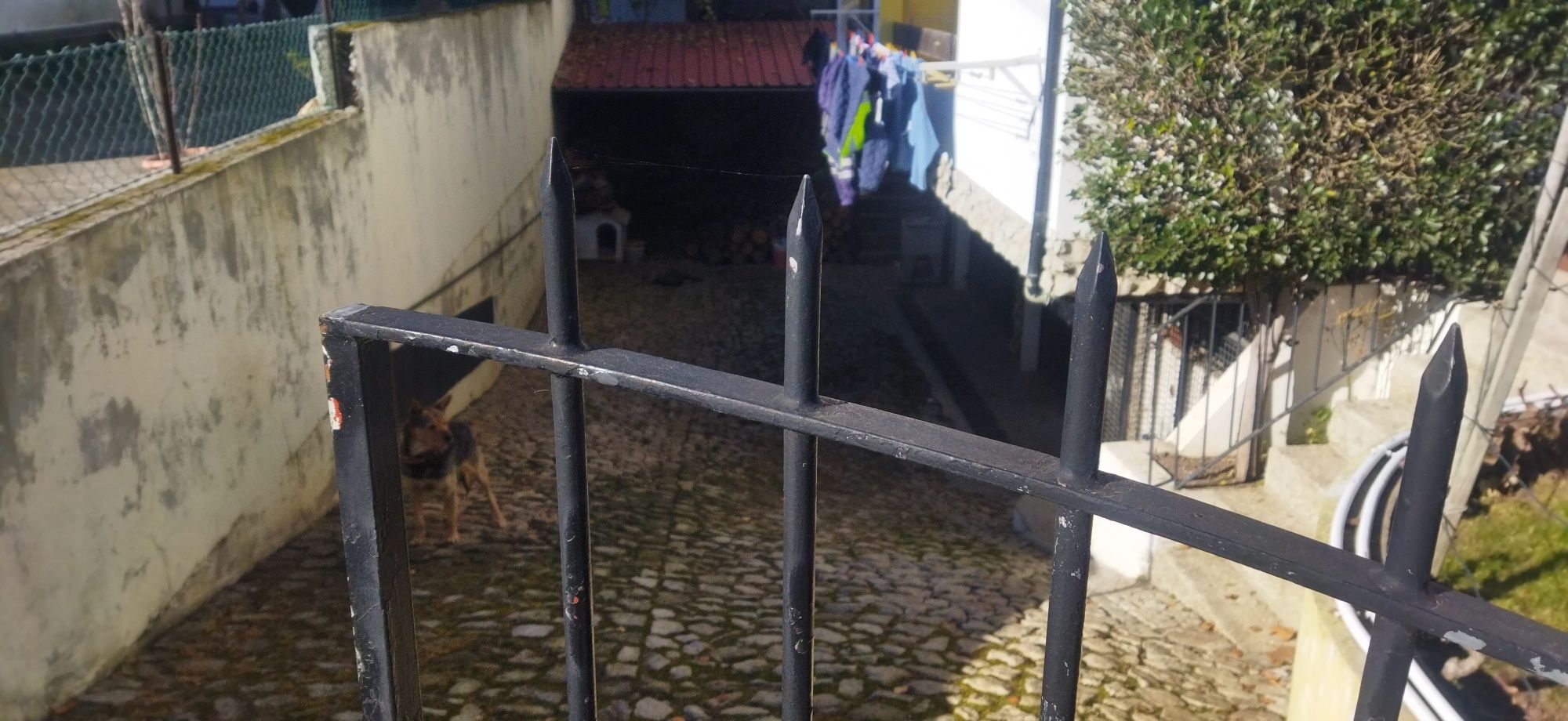 Moradia T6, Alijó