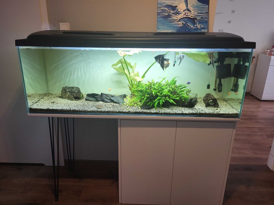 Akwarium 450l z szafką