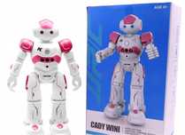 Robot sterowany ruchem dłoni „Nowy”