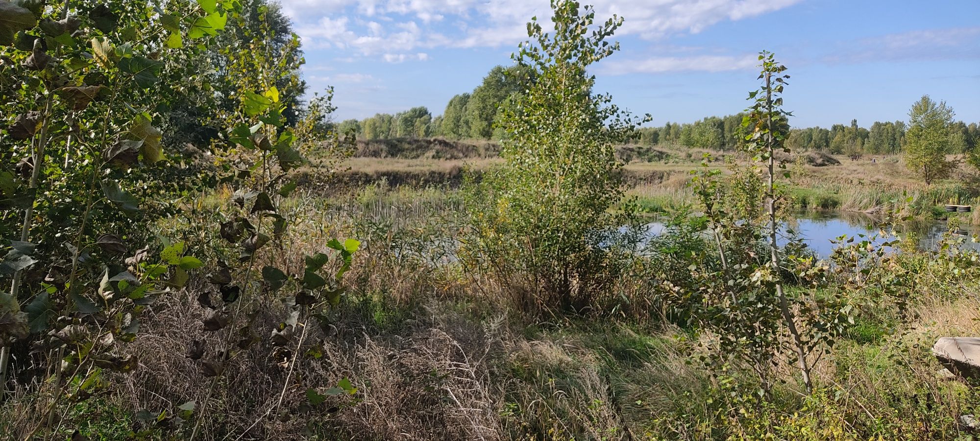 Продам ділянку під житлову або комерційну забудову