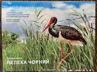 Монета Лелека чорний у сувенірному пакованні 5 грн.