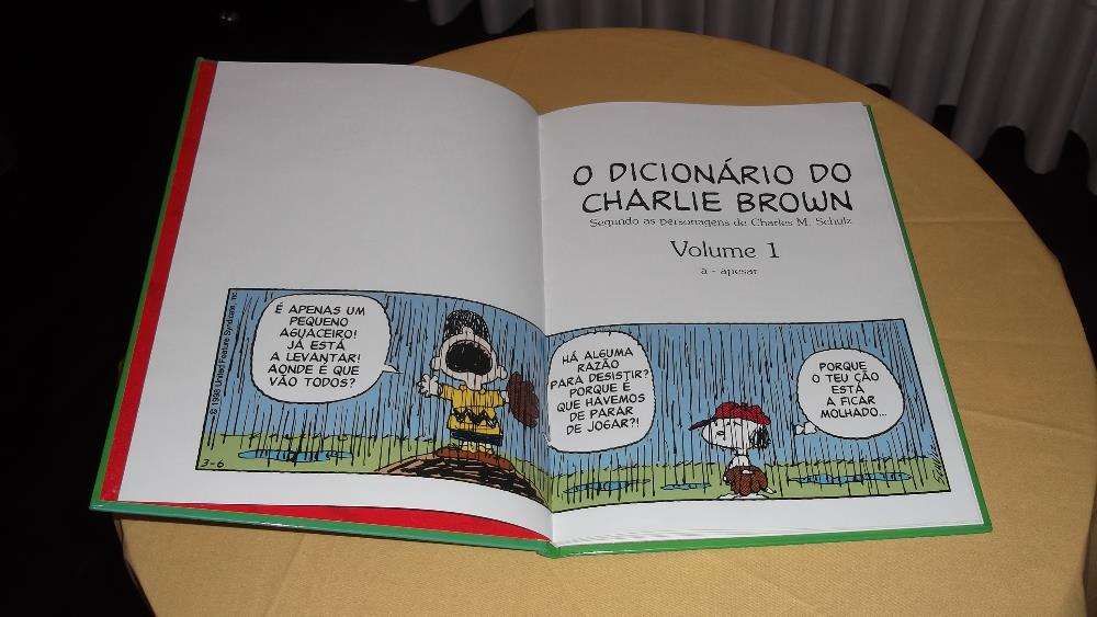 livro o Dicionário do Charlie Brown