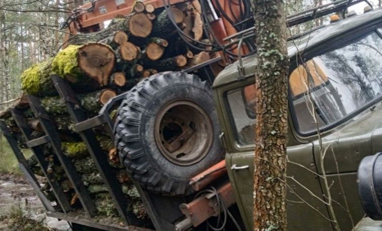 Дрова НАПРЯМУ С ДІЛЯНОК. Мінімальні ціни!! ОПТ та роздріб. Бориспіль.