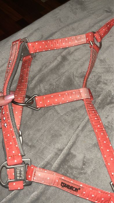 Kantar eskadron nici peachy