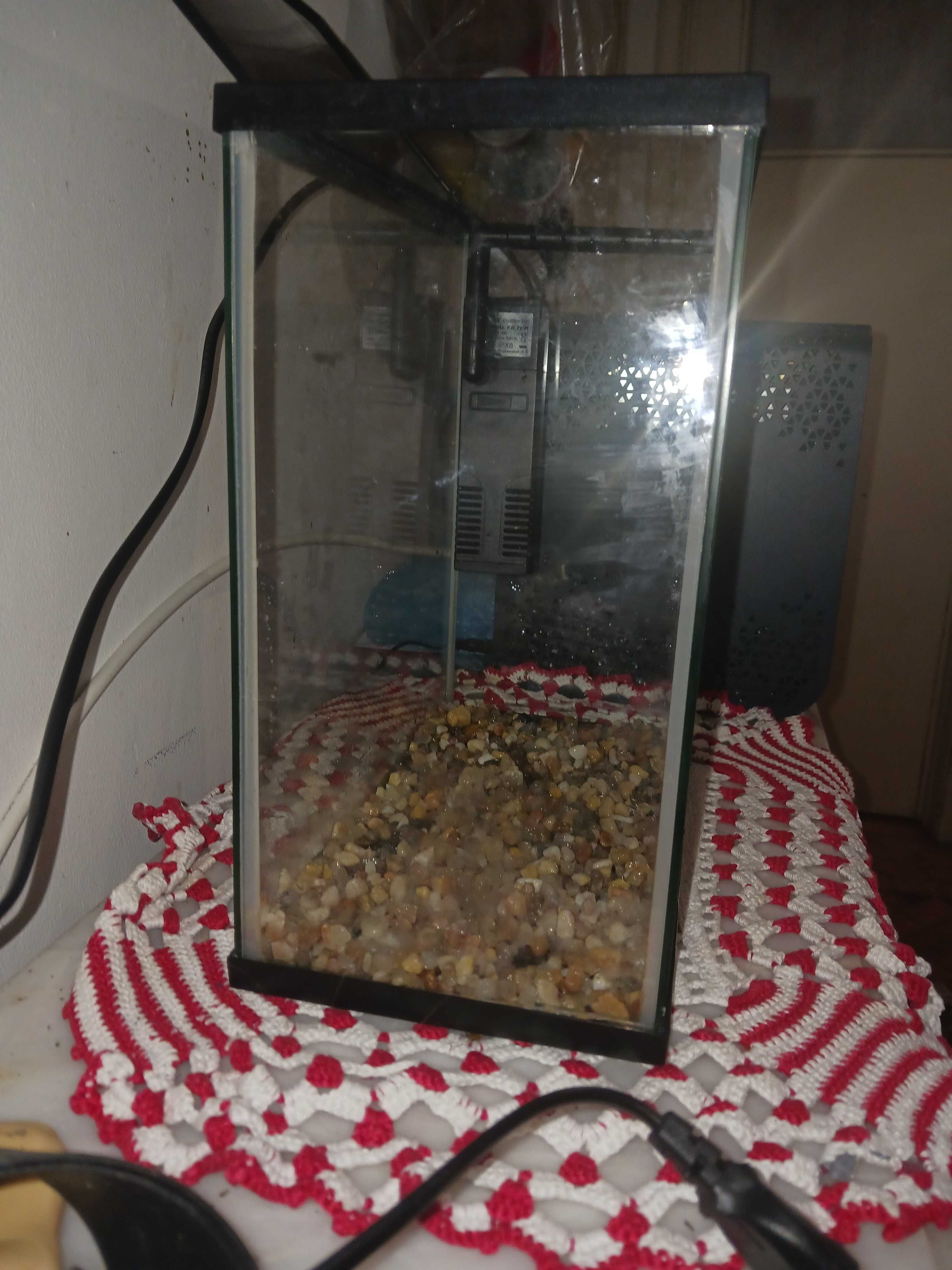 Aquário de peixes