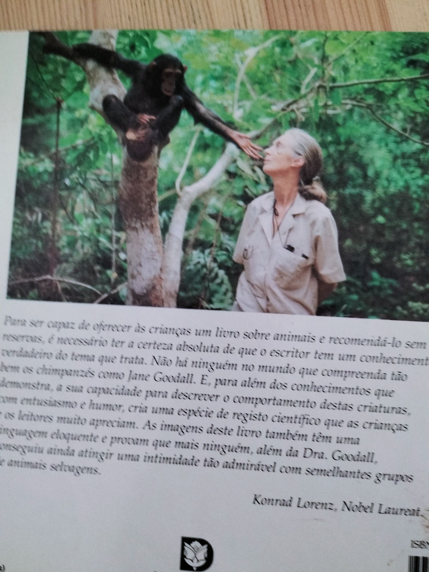 Livro " Família dos Chimpanzés'