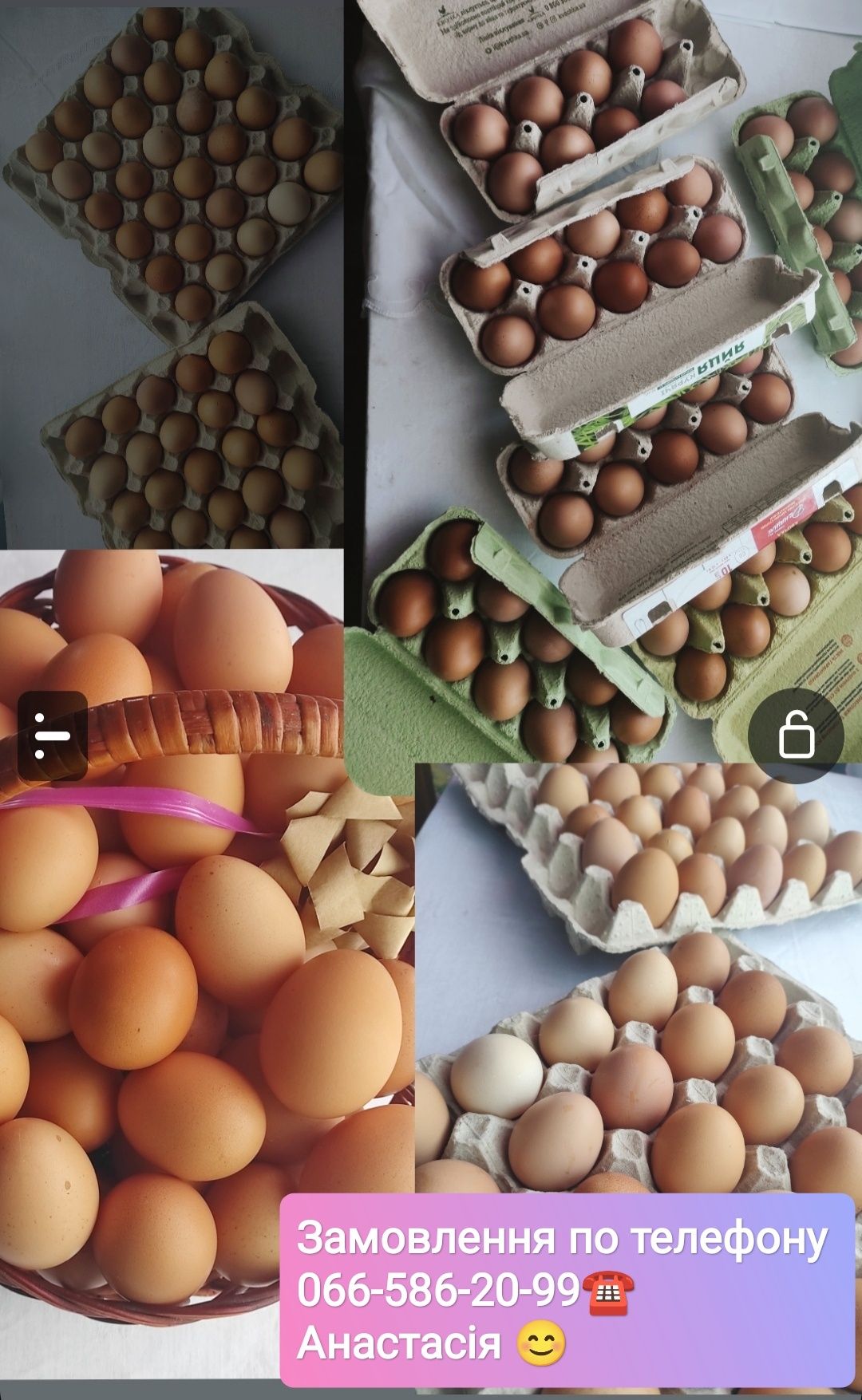 Яйця домашніх курочок