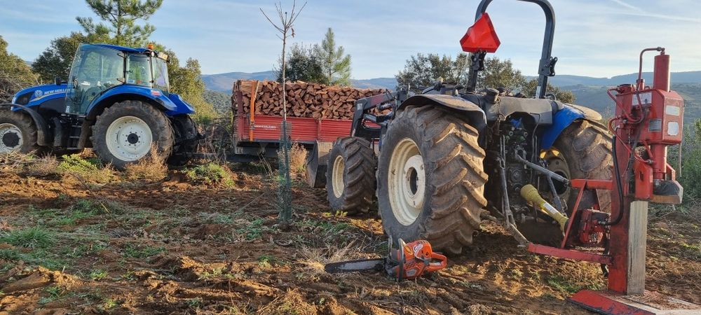 Lenha de carvalho carrasco pinho e castanho