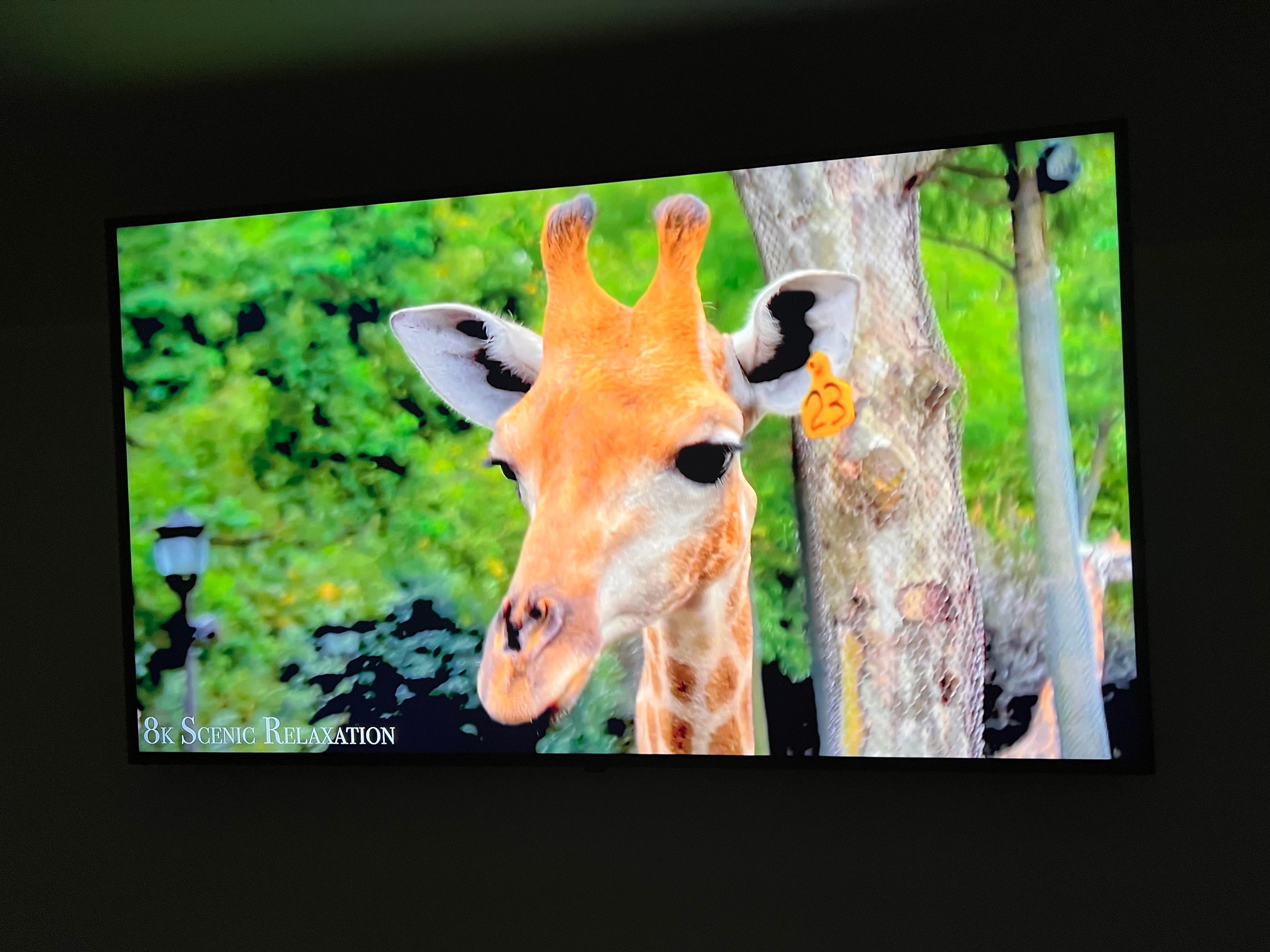 Telewizor LG 50” 50NANO769QA