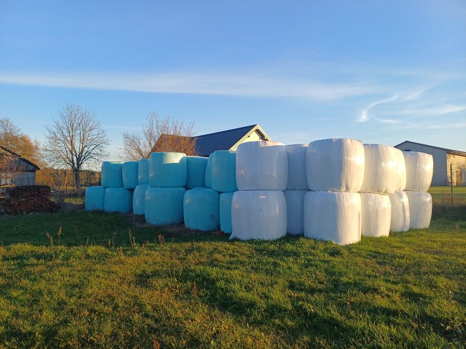 Sprzedam sianokiszonke tegoroczną
