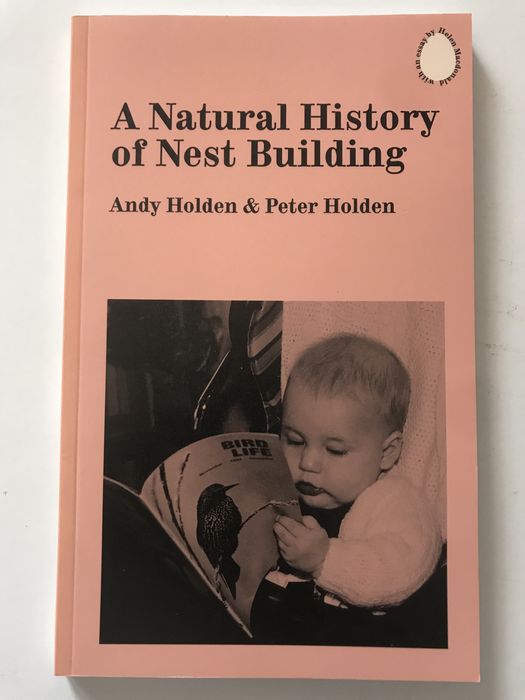 Ovos historia do colecionismo de ovos