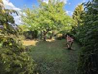 Działka rod ogródek działkowy niedźwiadek 388m²