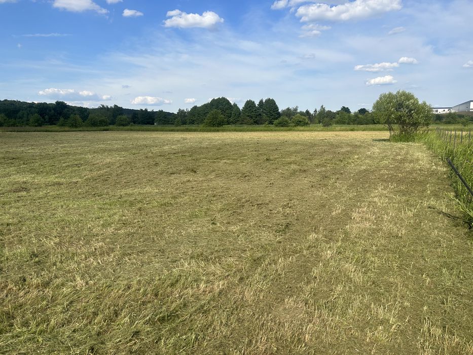 Koszenie molulczerem, mulczowanie traw, łąk, nieużytków,rowów,skarp