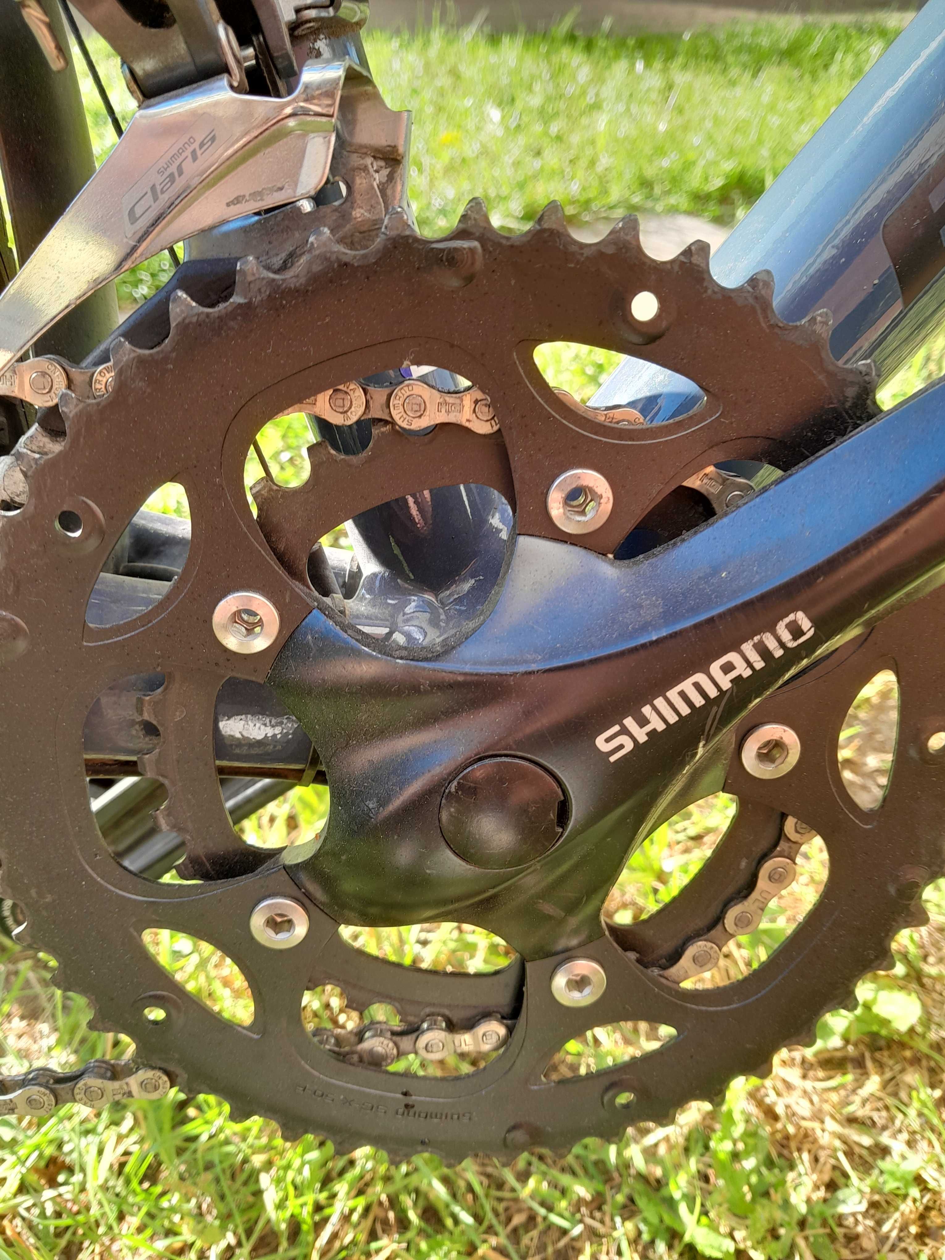 Rower gravel bulls daily grinder 1