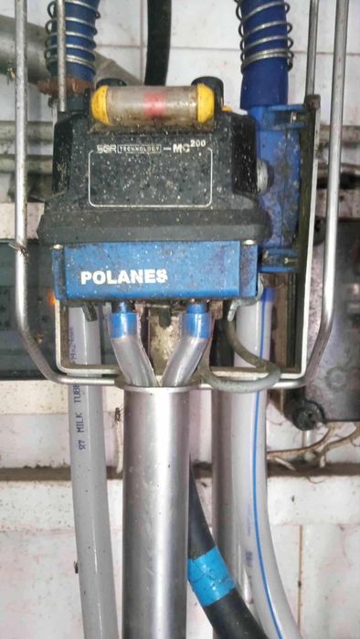 Dojarka przewodowa POLANES