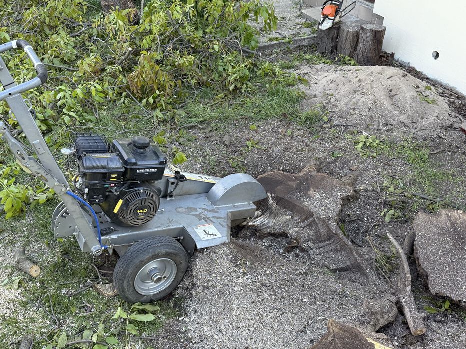 Usuwanie pni drzew karczowanie