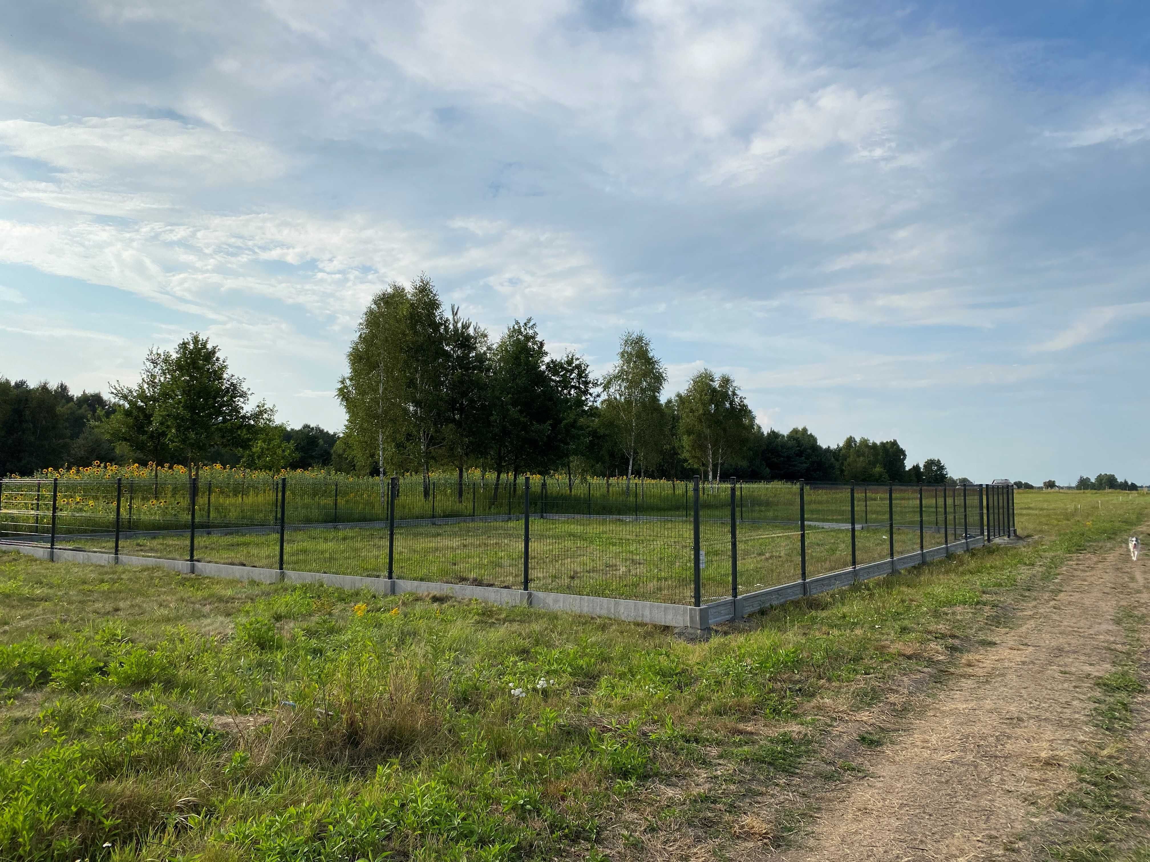 !!! Działka Rekreacyjna 530m2 Augustówka, gmina Osieck !!!