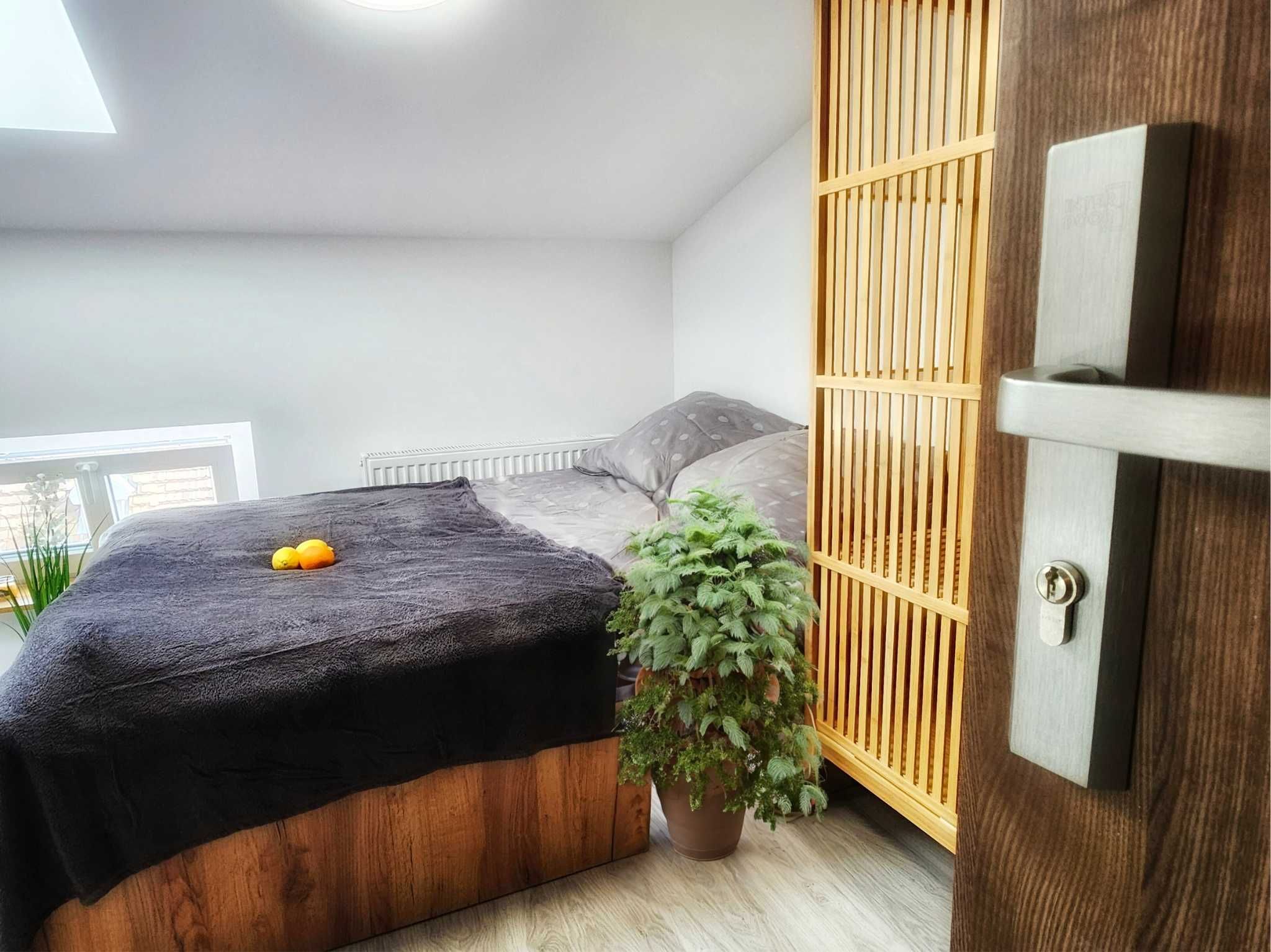Apartament/mieszkanie w centrum do wynajęcia