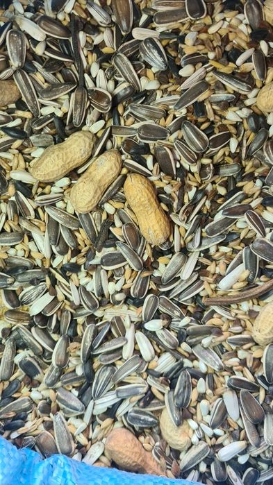 Mieszanka dla papug dużych (bez pszenicy, sorga)