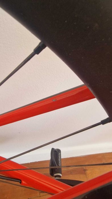 Specialized Roubaix Elite 54