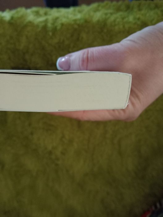 O dia que te esqueci NOVO