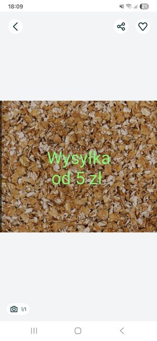 Gniecione ziarno zbóż