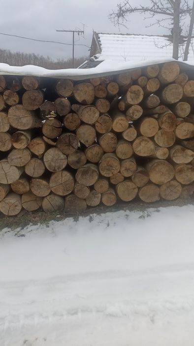 Дрова бук сухі і сирі під камін, котел, печі, дрібний і грубий покол