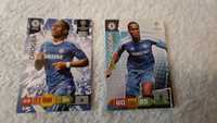 Karty Chelsea Drogba Paninii