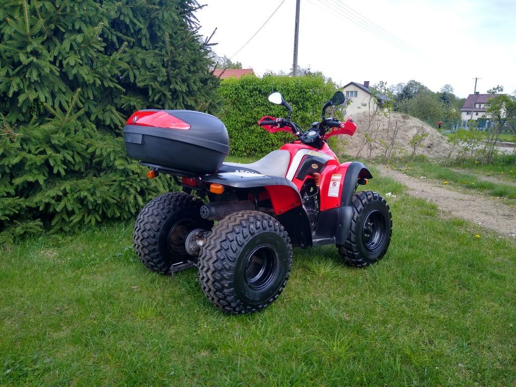 Quad aeon cobra RS/180