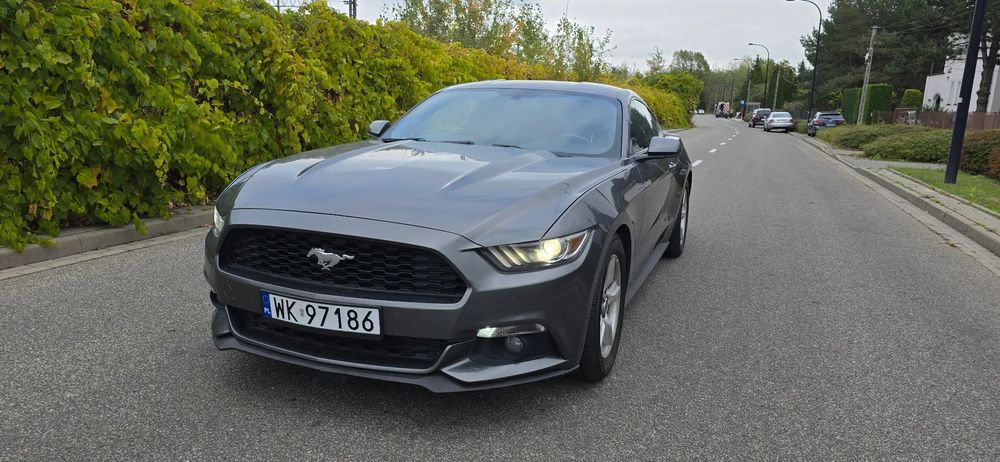 Ford Mustang Ford Mustang automat manetki F1