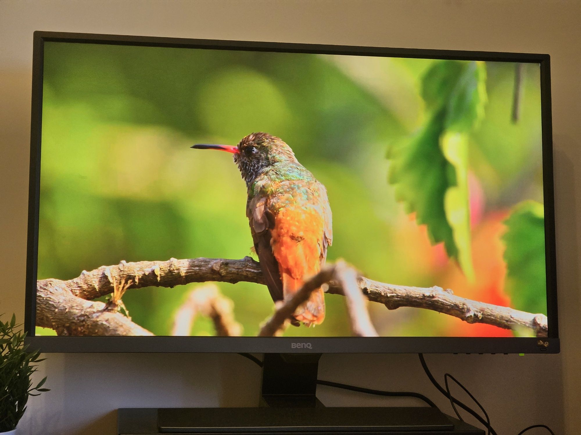 Monitor BenQ UltraHD 4K 31.5" LED 3840 x 2160 pixels
