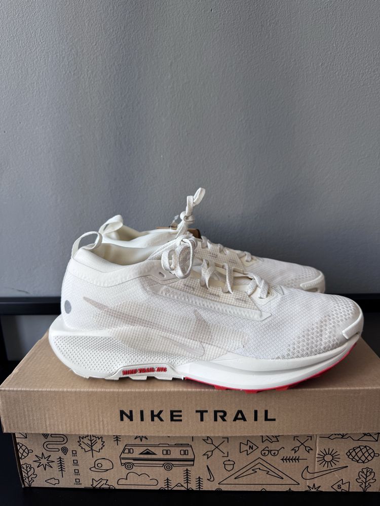 Кросівки Nike Pegasus trail 40p