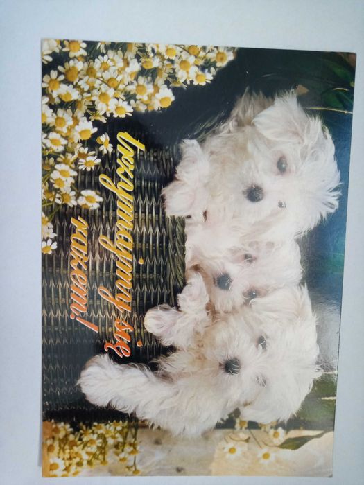 Kartka Walentynki , pocztówka