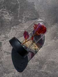 Вечная роза подарок цветы в колбе с светодиодной лентой на батарейках